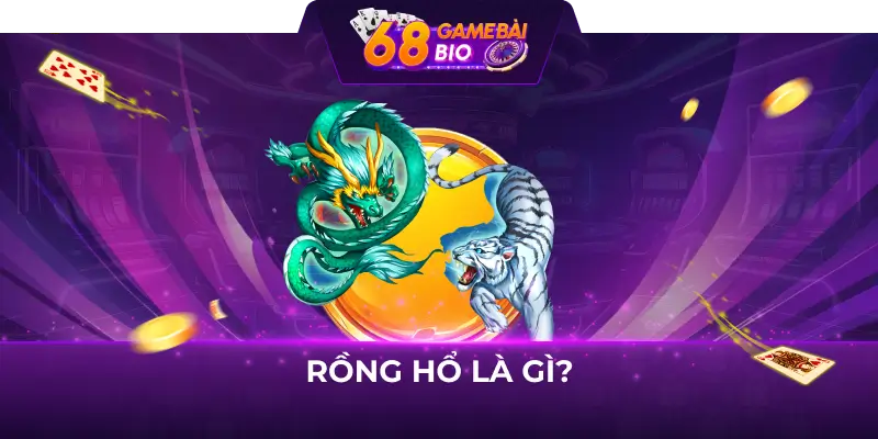 Rồng Hổ Là Gì